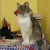 Отзыв от Оксана Селезнева